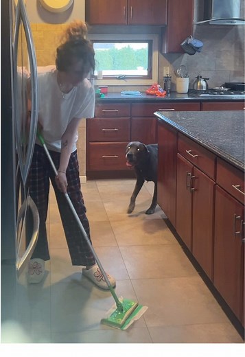 Dog Training Tips for Big and Small Dogs