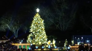 Bidens light up 100th National Christmas Tree