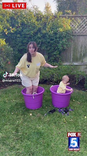 Halloween 2023! I resurrected the icon herself- “grape stomping lady that falls.” An og viral video, such a classic. Happy Halloween! #happyhalloween #halloweencostume2023 #nichehalloweencostumes #grapestomper #grapeladyfalls #grapestomp #grapestompinglady #grapestompladyfalls #viralvideo #fyp #foryou #funny #costume #costumeideas #halloween #halloween2023 #lol
