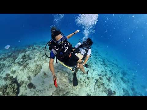 Tourist Alleges Scuba Diving Instructor Groped Her During Lesson