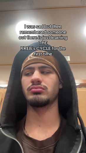 Understanding the Krebs Cycle: A Study Guide