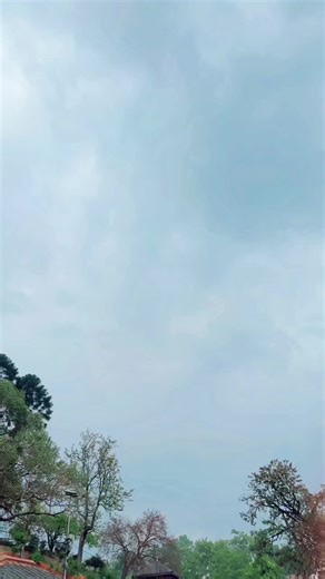 Exploring the Magic of Kajol's Dance Performances