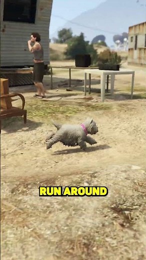 I Survived GTA 5 as a Dog! #luxurycars