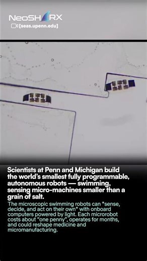 world’s smallest fully programmable, autonomous robots #robotics #humanoidrobots #automobile #drone