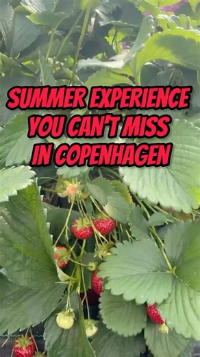 Must add in your Copenhagen summer plans