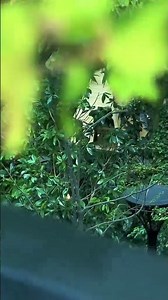 Doha.@Tourgood_travel