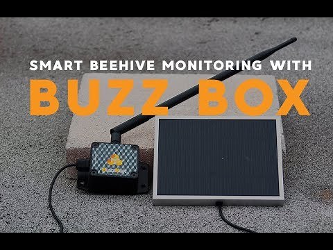 Smart Hive Monitoring is Here! Check out BuzzBox!