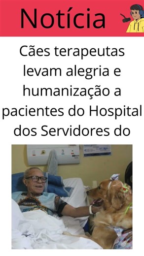 Cães terapeutas levam alegria e humanização a pacientes do Hospital dos Servidores do Estado