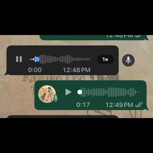 Yapy and Moca complete 3 lesson with us 🥰🥰🥰 Moca have separate anxiety and they are working on it with him 💪🏻💪🏻💪🏻 Yapy as the name been given, barks allot at anything,even vacuum and babies toys that will move and have music, as they are going to expect a new member next month they hope that Yapi can be not so reactive on all this and to accept everything. After 3 lesson can see in the video that Yapy no longer care about the toys and can be much calmer to accept 🥰🥰🥰 Keep up the good