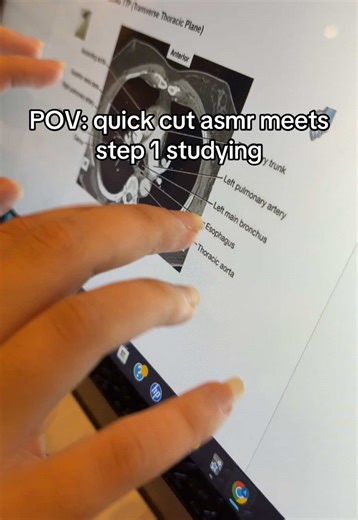 study date w bestie 🤭 more anki asmr? #asmr #step1 #anki #medstudent #lofiasmr