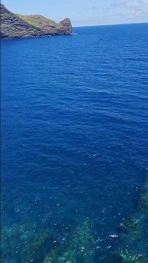 ✨🌿 Faial, Madeira Island🌿