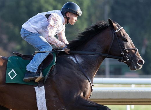 Sovereignty Back On Work Tab; Could Target Oaklawn Or Alysheba