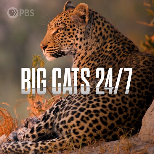 Check out the Wonderful Shows airing on PBS Passport this October! | KEET TV