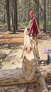 Perfect wooden wooden house interlocking wall sysframework connection assembly skill tips | Chad Construction