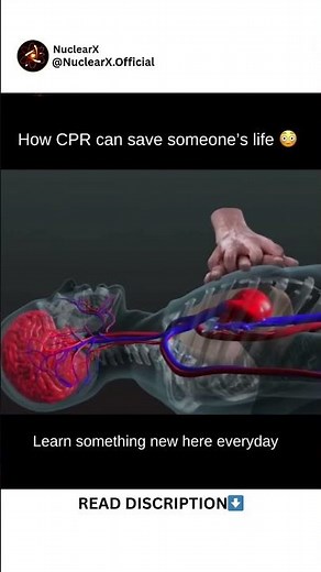 How CPR Actually Saves a Life 😳❤️‍🔥 #cpr #medicalfacts #sciencefacts #howthingswork