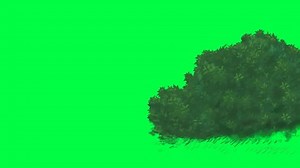 (Green screen animation) 2D wolf character running from the back angle jumping to the other side of the bush. Chroma key.