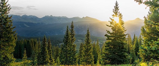Home - REcolorado