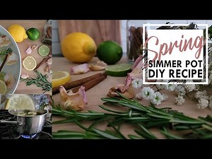 How to Make the BEST Spring Simmer Pot