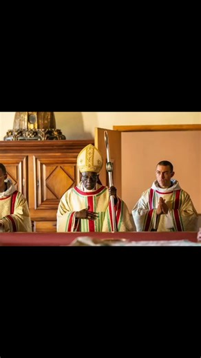 Cardinal Robert Sarah (@cardinal_robert_sarah)’s videos with son original - Cardinal Robert Sarah