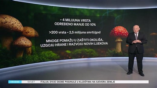 Mala škola prognoze 18.11.2025.