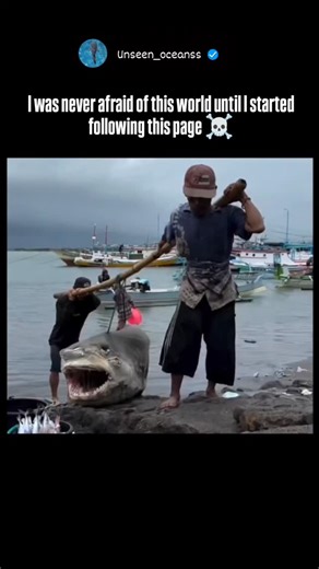 Unseen Oceans on Instagram: "NASA has never actually stopped exploring the ocean; rather, the way they explore has shifted from deep-sea diving to high-tech satellite monitoring from space. The persistent online rumor that they "quit" in 1958 or 1978 to escape a "scary discovery" is a viral myth often found on social media. In reality, 1978 was the year NASA launched Seasat, the first-ever satellite dedicated to oceanography, marking the beginning of their modern era of ocean research. ​Today, N