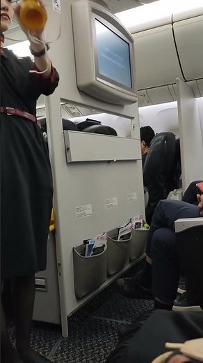 767 機内 エンターテイメントシステム故障の対応