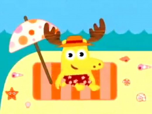 Explore The Seashore