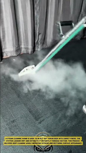 Carpet Steam Cleaning Process applying heat and extraction to lift contaminants
