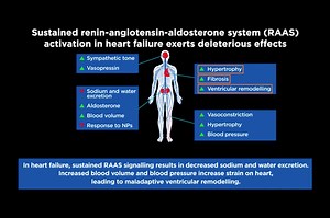 ▶ Video 1: Heart failure pathophysiology