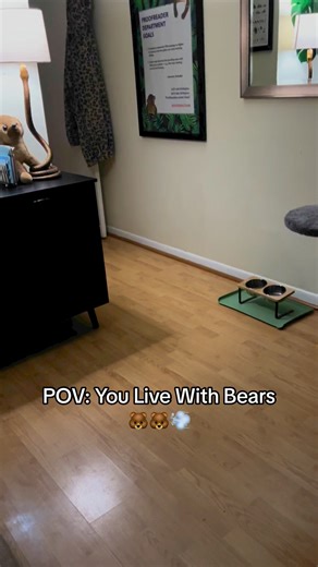 Brings a whole new meaning to pitter patter of little feet — this my kind! #animals #kinkajou #honeybear | Kinkatopia