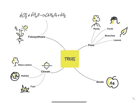 Add Apple Pencil Drawings on iPad