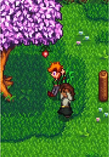 Triggering Leah's Six Hearts Event in Stardew Valley