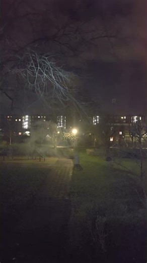 fireworks went wrong, but no one was hurt.