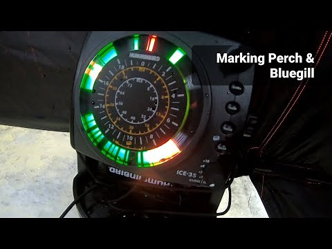 First ice fishing trip with the Humminbird Ice 35 Flasher (How to Use)