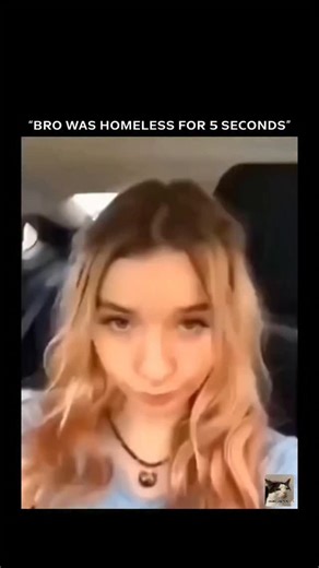 PAWS AND TOTS ✨ on Instagram: "The video captures a young woman driving on a highway when she notices a black-and-white dog, likely a border collie mix, wandering alone on the road. Shocked, she pulls over and calls out to the dog in disbelief, jokingly saying things like, “Hey, what are you doing, bro?” and reacting to the fact that a dog is just walking there by itself. She gently reaches out, picks the dog up, and brings it into her car, safely rescuing it and ending its brief moment of being