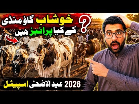 Khushab Cow Mandi Ke Kya Prices Hain? 😱 |Eid ul Adha 2026 Special 🐄🔥