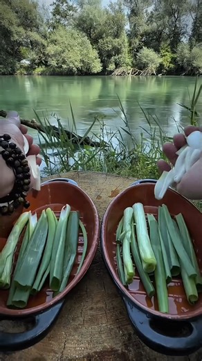 Veal pearls grilled in the primitive way in the forest 🥩🔥🪵💦🌲 #FoodLover #TinyMeals #CreativeCooking #FoodieLife #AestheticFood #MiniatureArt | Bento Bites Daily