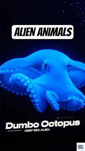 These 5 animals look like they’re from another planet!