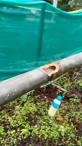 Mingde Morng on Reels