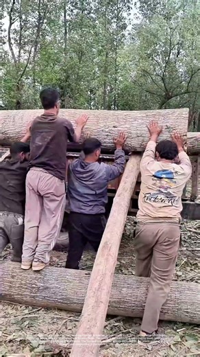 Lumber Loading: How Teamwork Moves Trees to Trucks