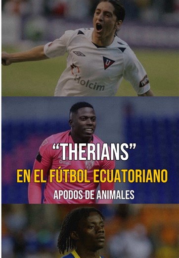 Apodos de animales en el fútbol ecuatoriano