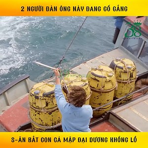 2.7M views · 12K reactions | 2 người đàn ông này đang cố gắng s-ăn b-ắt con cá mập đại dương khổng lồ ©️ Nội dung được sản xuất bởi 38 Network #review #reviewphimhay #reviewphimhanhdong #reviewphimhaynhat #phim #hanhdong | T Studio Funny | Facebook