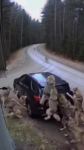 201K views · 3.2K reactions | You're just trying to unload the...