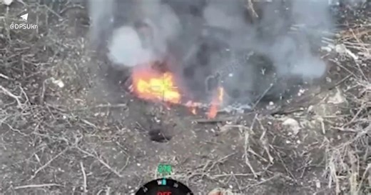 Border guards of "Steel Border" struck eight enemy shelters and camouflaged gun using "Vampire" drones. VIDEO