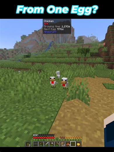 I threw one egg. Four chickens hatched. That’s not normal Minecraft. This modpack keeps bending the rules. Has this ever happened to you? #minecraft #minecraftmod #gaming #minecraftmoment