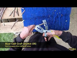 Demonstrations of common grafting and budding cuts - Scionon Grafting Shears SGM4-15R
