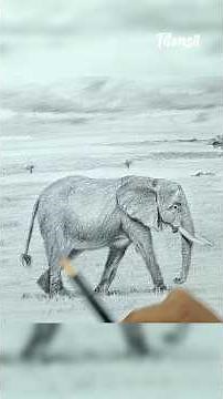 How to Draw an Elephant in Pencil Step by Step | African Savanna Landscape Drawing Pencil
