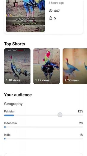 Aseel brand new chanel please follow this chanel please follow &_$#‪@user-lg2ne9nl7w‬