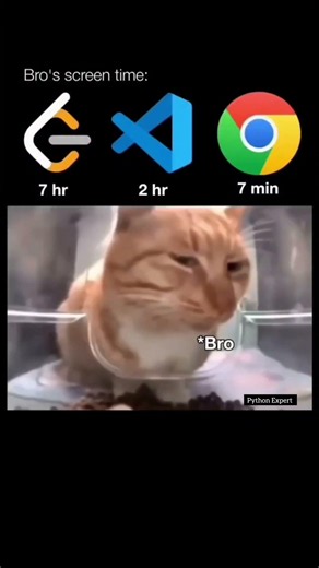 Only Developers Will Understand This 😂💻 #coding #developer #memes #funny #programming #memecoding