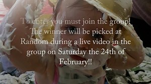 ⭐️🌈🎈MESSY COMPETITION TIME🎈🌈⭐️ (You must tag your friends inside the group not on this post) You’ve got to be in it to win it folks and this is a fantastic competition to win so get joining and remember to tag any messy friends you think would want to win this! This video explains it all!! #messycomp #borntomessaround #joinournewfamilygroup #stayintheloopandshareyourstories 🎉🌈⭐️🎈 | Mess Around North Aberdeenshire